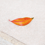 398_THR_WebBanner_250x250_v1