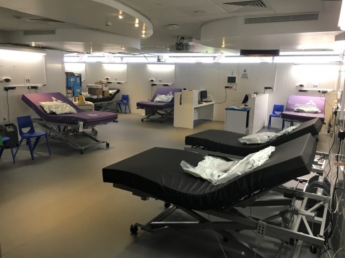 Dragons Heart Hospital - Ward with Beds