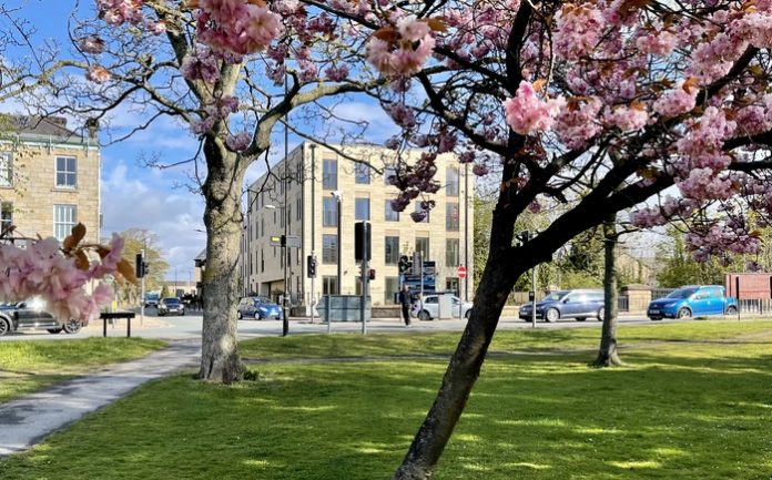 SOUTHFIELD BLOSSOM 5