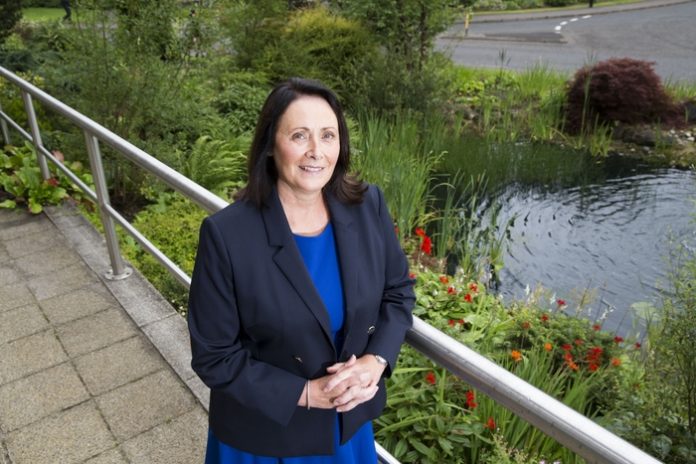 29th july 2019… Bee hives