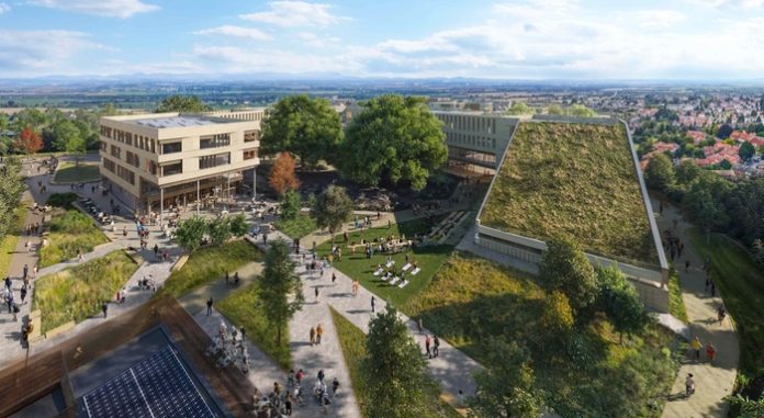 HBD_Golden Valley(1)