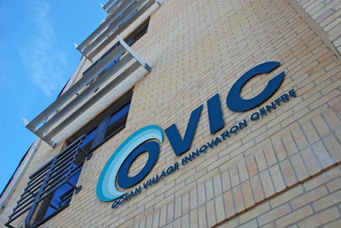 BUSINESS HUB - Ocean Village Innovation Centre in Southampton (1)